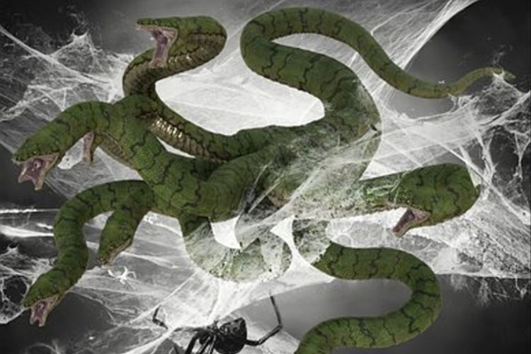 Notanish odam bilan porno