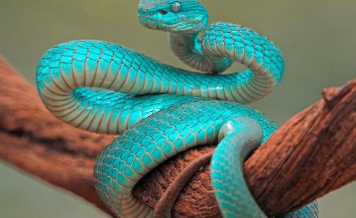 Egri ozarbayjon ayoli bilan jinsiy aloqa Dushdagi singlim bilan jinsiy aloqa video