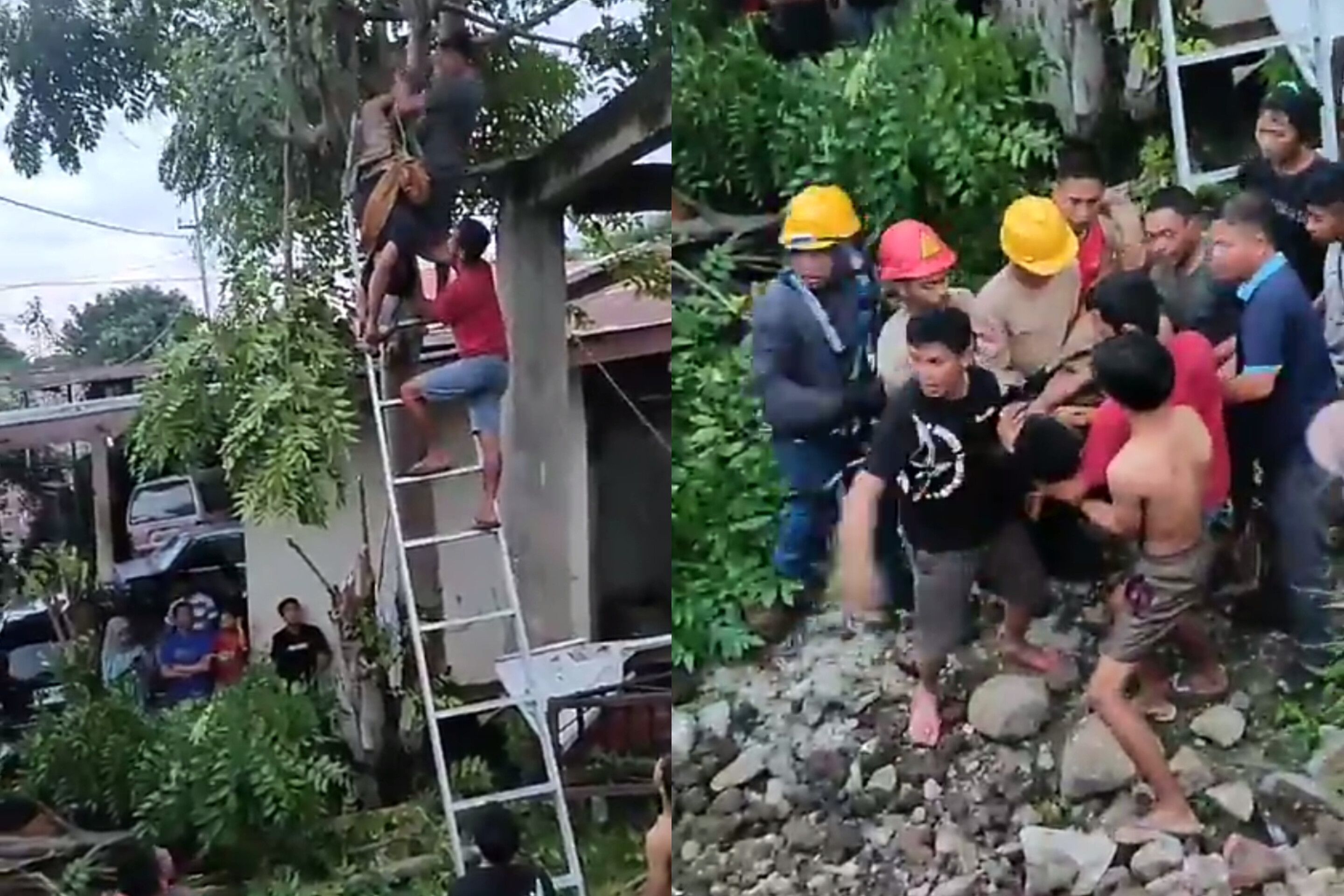 Panjat Pohon untuk Cari Pakan Ternak, Pria di Bantaeng Tewas Tersengat Listrik