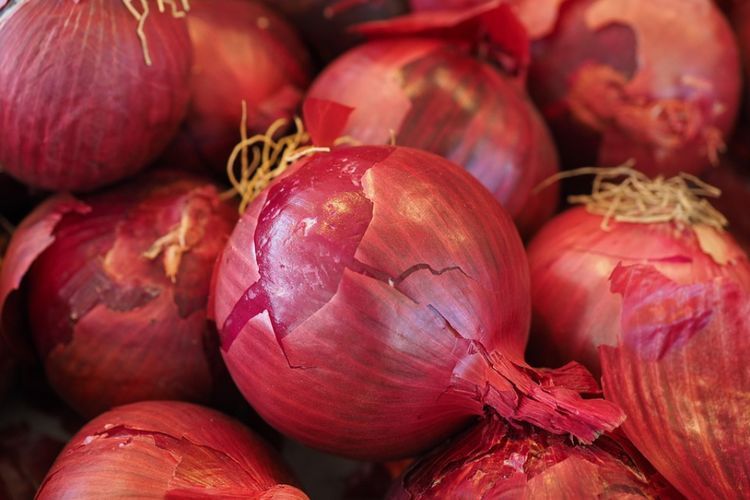 12 Manfaat Bawang Merah untuk Kesehatan Tubuh
