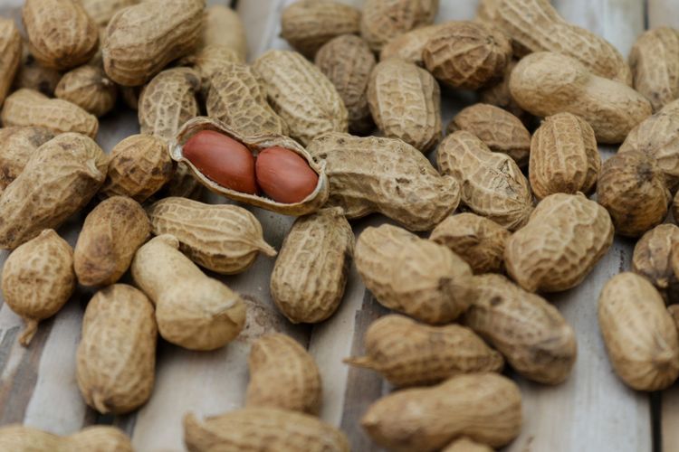 5 Manfaat Konsumsi Kacang Bagi Kesehatan