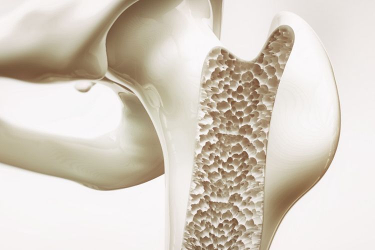 Ternyata Bahan Kimia Pada Sabun Bisa Tingkatkan Risiko Osteoporosis