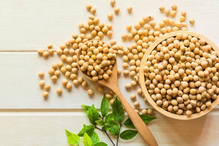5 Manfaat Kacang Kedelai Untuk Kecantikan