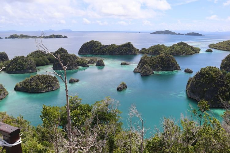 5 Destinasi yang Wajib Dikunjungi Ketika di Raja Ampat