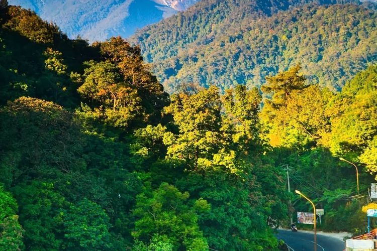 Sederet Destinasi Wisata Puncak Untuk Libur Akhir Pekan Ini