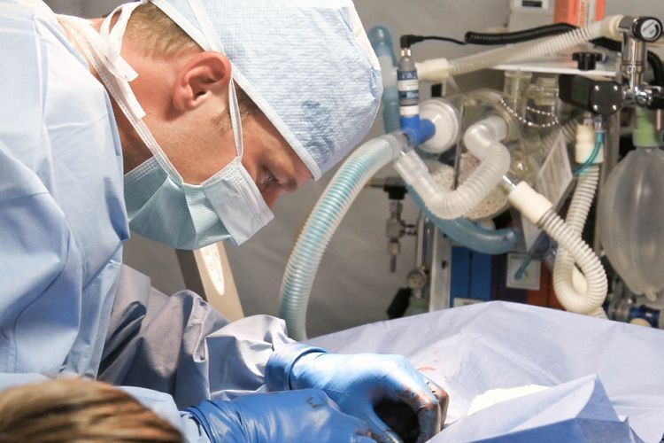 Dokter Temukan 57 Butir Timah di Usus Buntu Bocah Berusia 8 Tahun Ini
