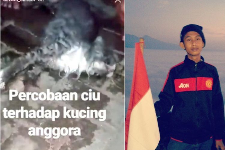 Hasil Uji Forensik Kucing Dicekoki Ciu, Terbukti Mati Karena Alkohol