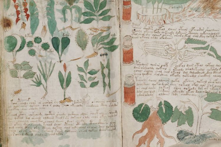 Manuskrip Misterius dengan Tulisan dan Bahasa yang Tak Diketahui