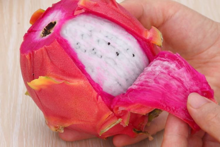 Manfaat Kulit Buah Naga Untuk Kesehatan dan Kecantikan
