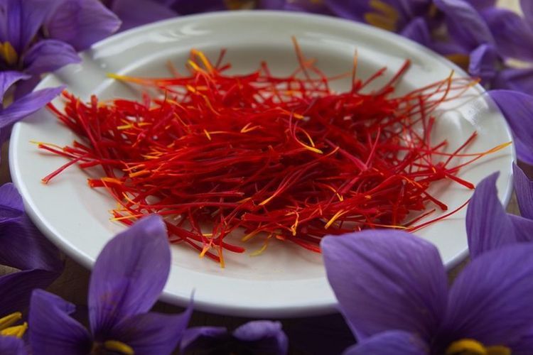 Saffron, Rempah Termahal di Dunia 