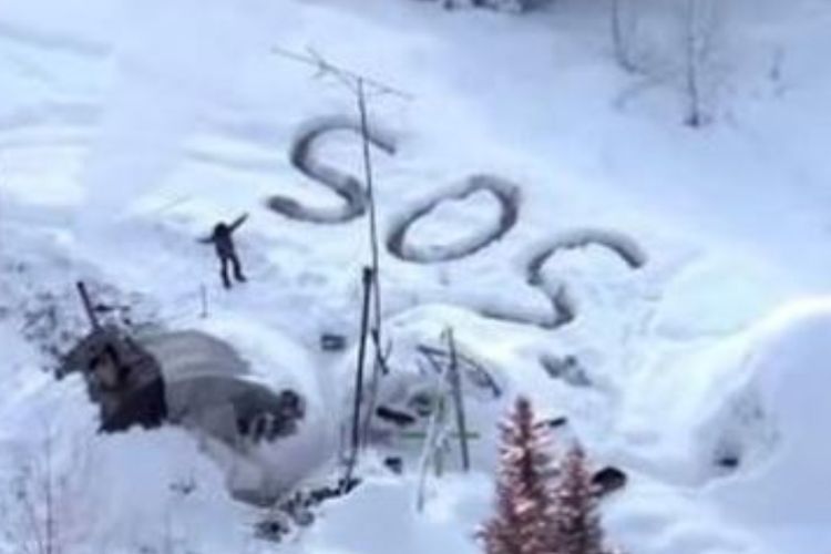 Seorang Pria Terjebak di Hutan Alaska Selama 20 Hari