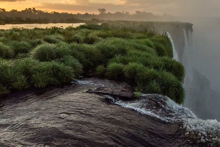 Taman Nasional Ibera, Cagar Alam Terbesar di Argentina