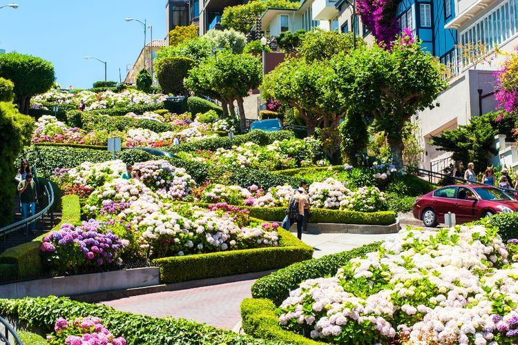  Lombard Street, Jalanan Unik Berliku-liku di San Fransisco 
