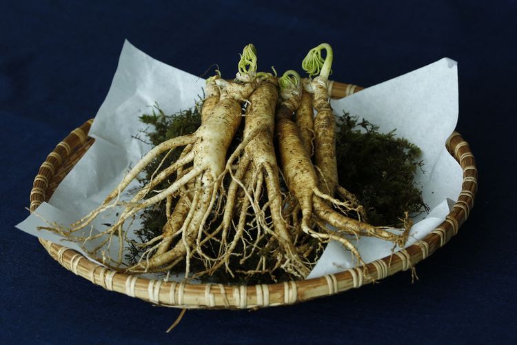 Gen Z Korea Beralih Minum Ginseng, Khasiatnya Terkenal di Negeri K-Pop