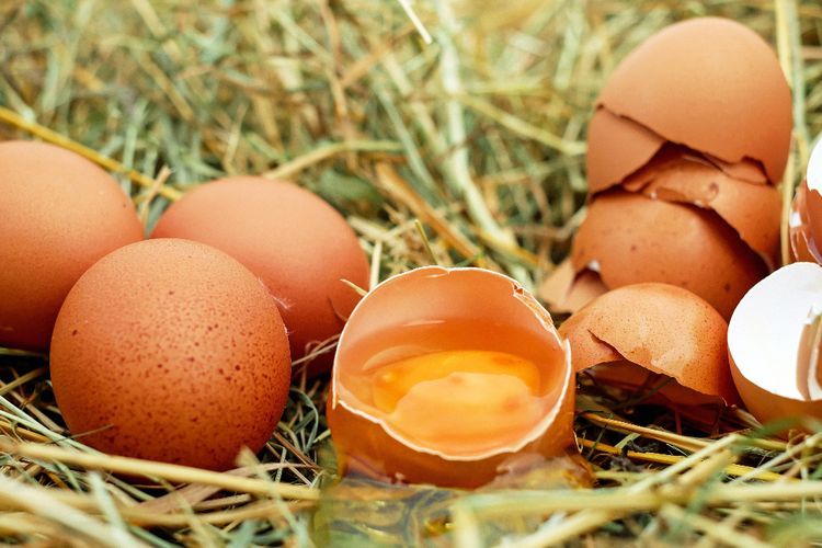 #KAMUHARUSTAU Konsumsi Kuning Telur Dapat  Meningkatkan Gairah Seksual