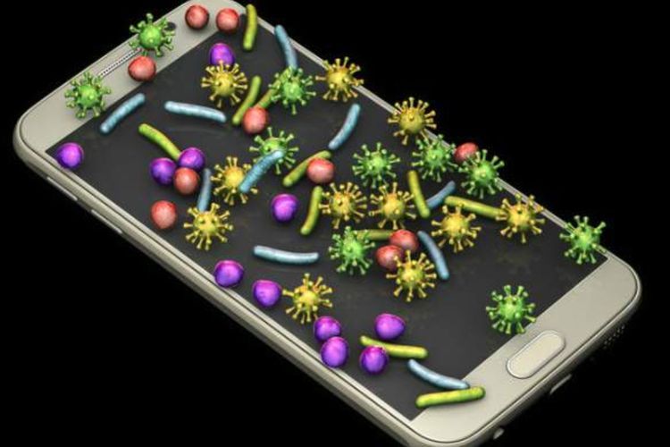 Terungkap! Layar Sentuh Handphone Jadi Sumber Mikroba yang Sering Diabaikan