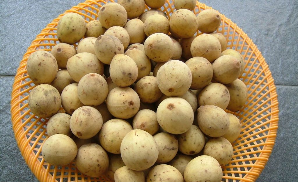 7 Manfaat Buah Duku untuk Kesehatan, Bantu Tingkatkan Imun dan Cegah Penyakit