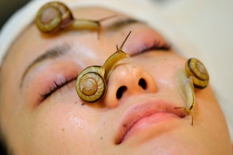 6 Manfaat Lendir Siput untuk Kecantikan Kulit, Cegah Keriput
