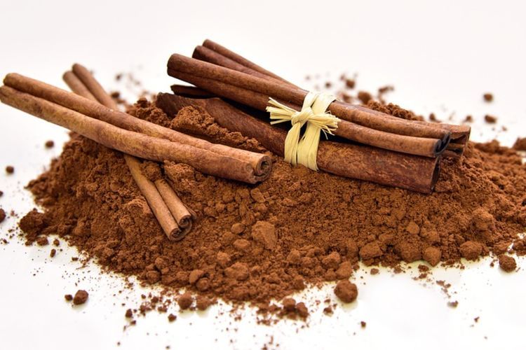 Kayu Manis, Bumbu Masakan Tertua yang Digunakan Manusia