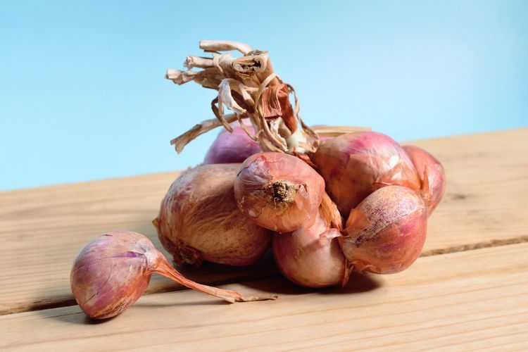 3 Bahan Herbal Ini Merupakan Sumber Antibiotik untuk Jaga Kesehatan