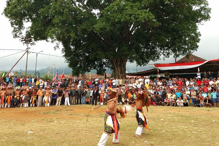 Tari Caci, Atraksi Pertarungan Para Pemuda di Flores
