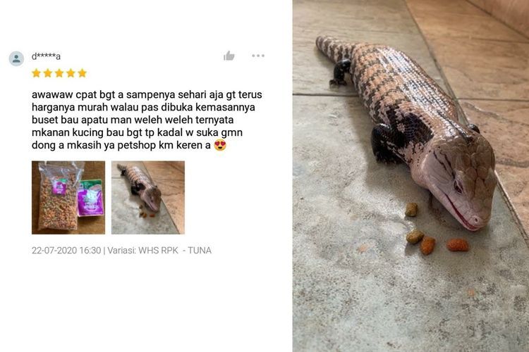 Beli Makanan Kucing, Testimoni Pembeli Online Ini Bikin Netizen Heran