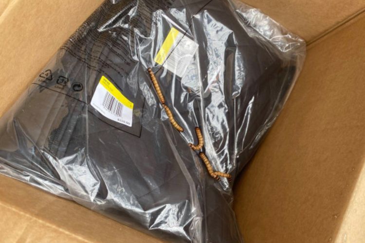Pria Ini Kaget saat Buka Paketnya yang Dipenuhi Ulat, Penampakannya Bikin Jijik