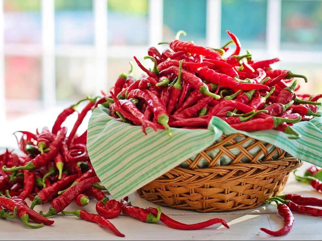 5 Cara Mengurangi Rasa Pedas pada Makanan yang Wajib Kamu Coba!