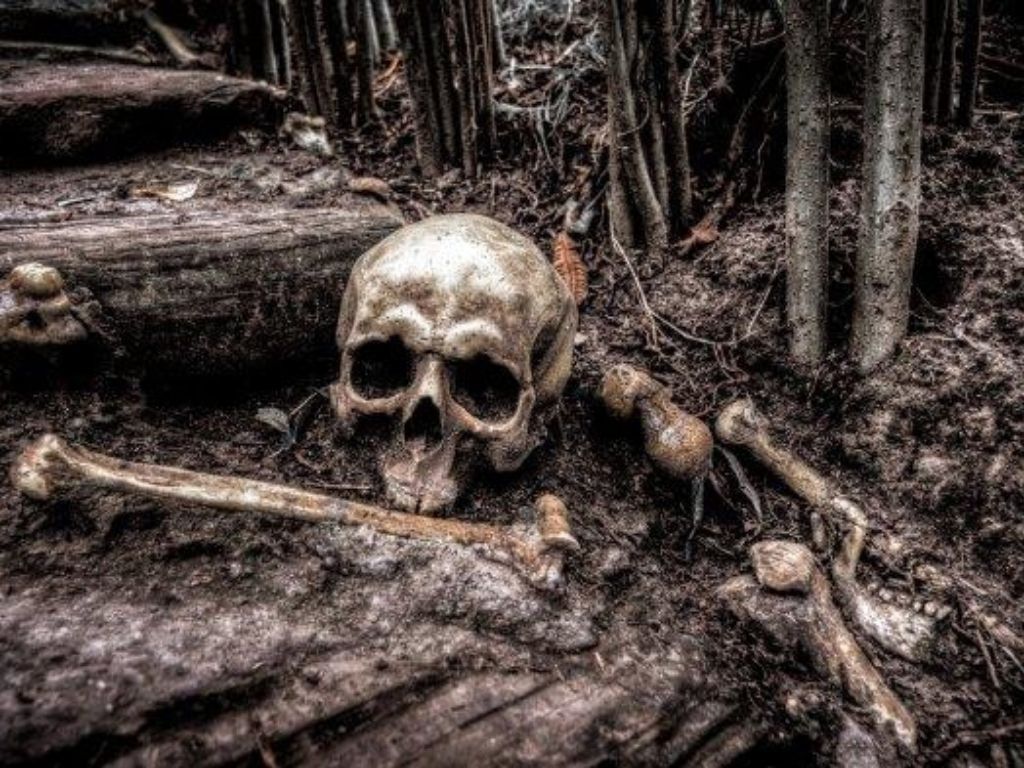 Terungkap! Identitas Kerangka Manusia di Tambun Selatan Ternyata Pria 90 Tahun