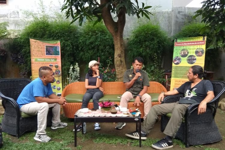 Jurnalis Hutan Tropis Bahas Nasib Orangutan di Sumatera: Orang Asing Lebih Peduli