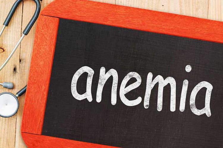 7 Makanan Sehat untuk Diet bagi Penderita Anemia, Kaya Zat Besi