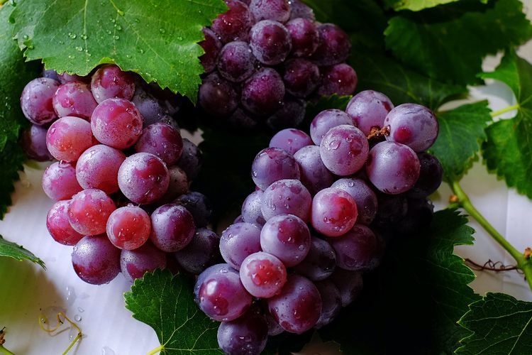 5 Manfaat Buah Anggur untuk Kecantikan, Salah Satunya Mengatasi Jerawat