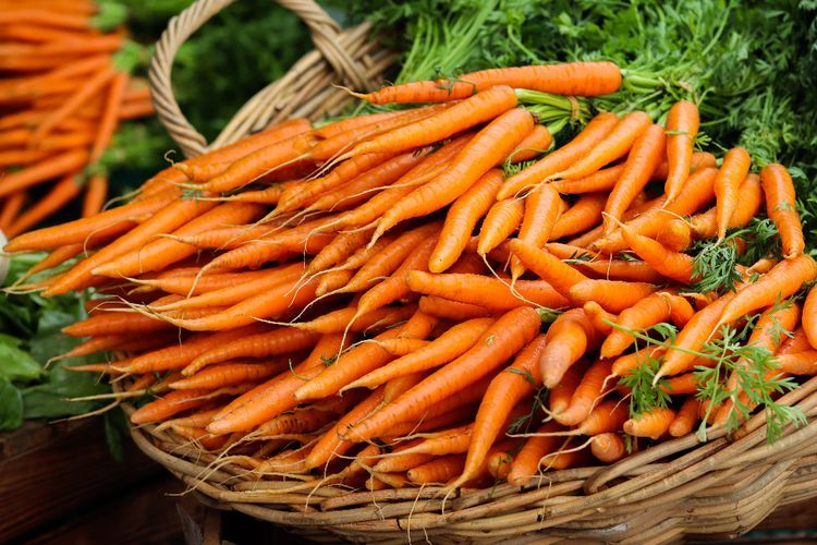 Apakah Wortel Cocok Dikonsumsi saat Menjalani Diet Keto?