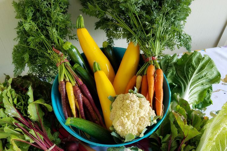 3 Makanan Ini Wajib Ada Dalam Daftar Menu Jika Berencana Menjadi Vegetarian