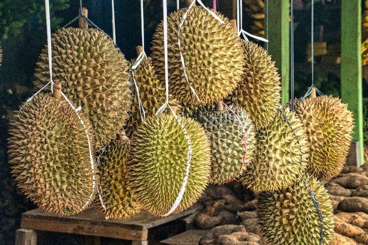 Punya Bau yang Kuat, Ini Manfaat Durian yang Harus Kamu Ketahui