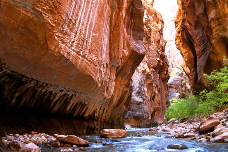 The Narrows, Tempat Pendakian Terbaik Dunia yang Rentan Banjir Bandang