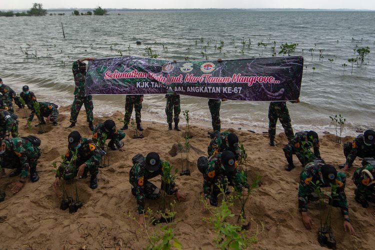 FOTO: Aksi Taruna AAL Tanam Bakau di Bintan