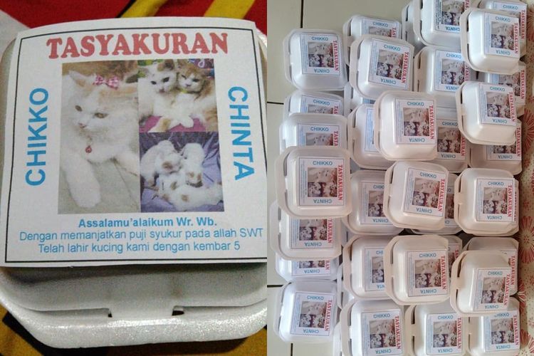 Kucing Lahiran Dibuatkan Tasyakuran, Netizen Dibuat Salfok
