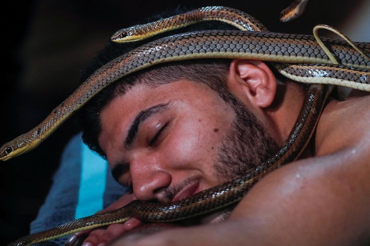FOTO: Terapi Pijat Dengan Ular di Kairo
