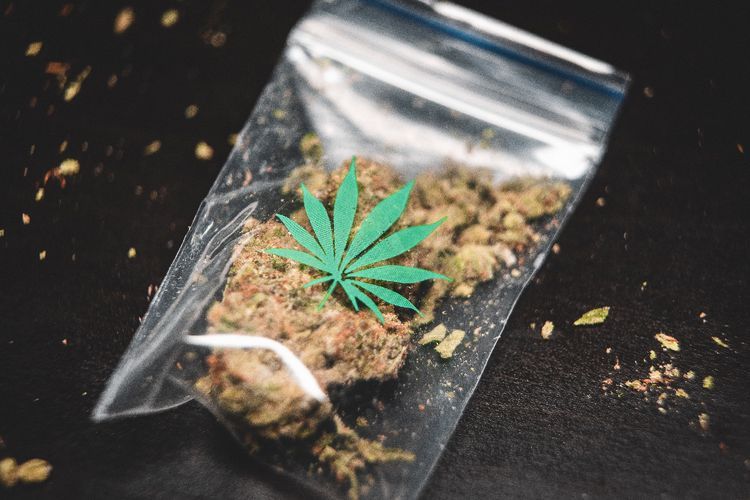 Ini Alasan Kenapa Ganja Dilarang, Dapat Memicu Kemandulan Hingga  41%!