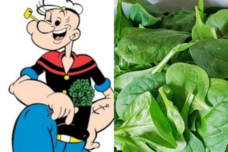 Kesukaan Popeye, Ini Manfaat Bayam untuk Kesehatan Menurut Ahli Gizi