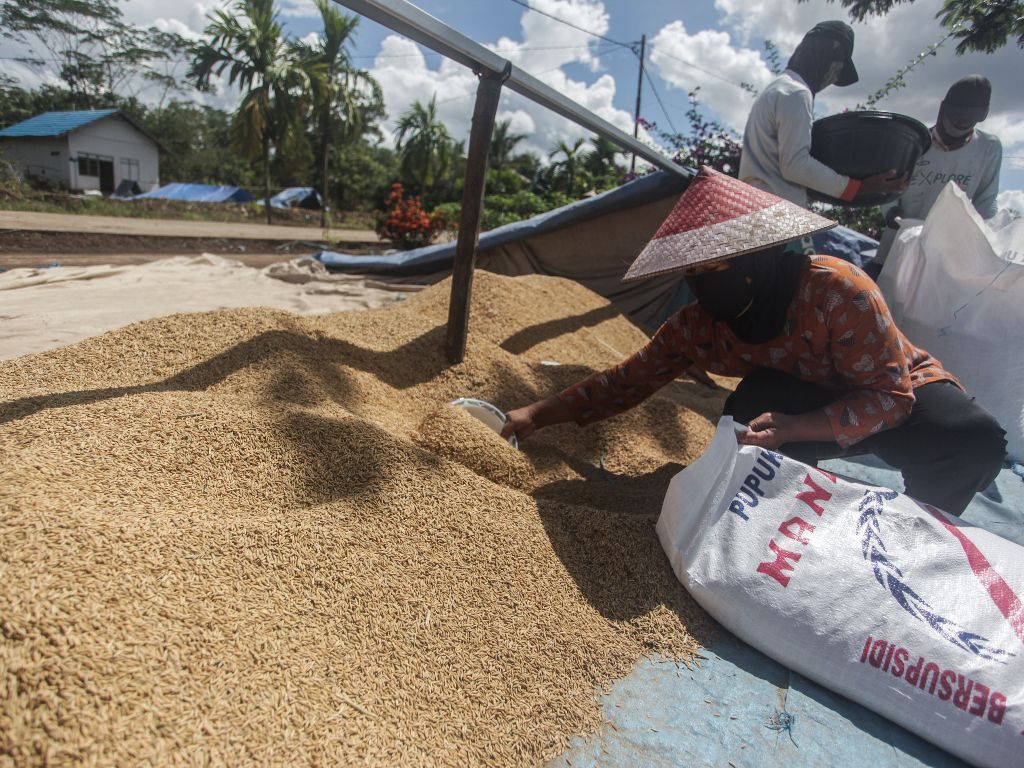 Tingkatkan Kesejahteraan Petani, Pemerintah Resmi Naikkan Harga HPP Gabah