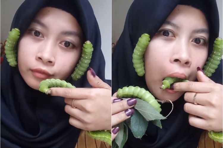Cewek ini Berani Pegang dan Masukkan Ulat ke Dalam Mulut, Netizen: Geli Woi