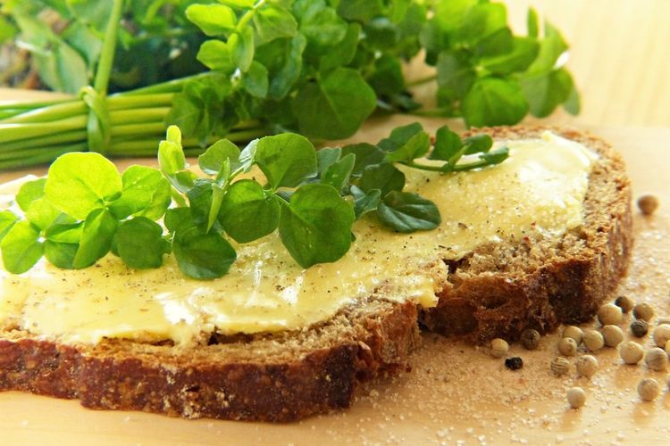 Jarang Diketahui, 4 Manfaat Selada Air bagi Kesehatan 