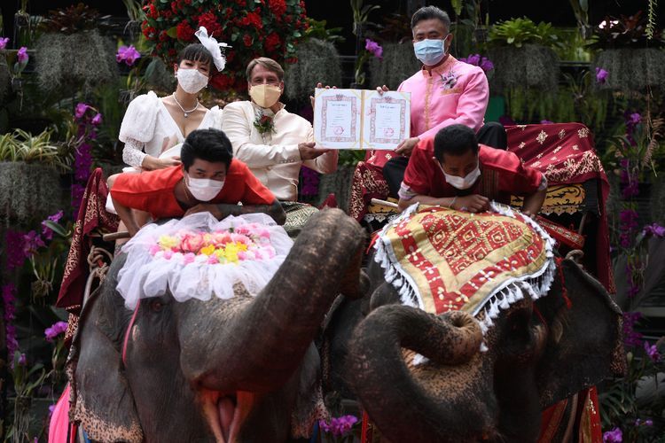 Rayakan Hari Valentine Tahunan, 59 Pasangan di Thailand Menikah Sambil Tunggangi Gajah
