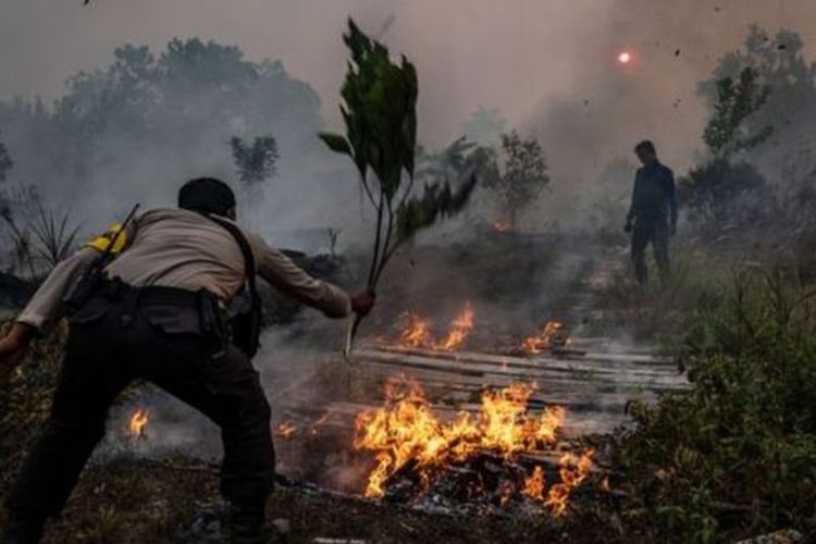 Jika Riau Sudah Memasuki Musim Kemarau, Ada Tujuh Daerah yang Rawan Karhutla