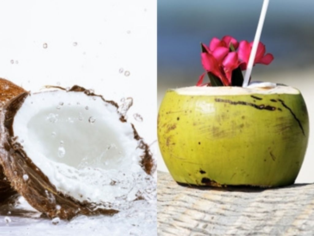 Air Kelapa Muda dan Air Kelapa Tua, Mana yang Lebih Sehat Untuk Tubuh? 