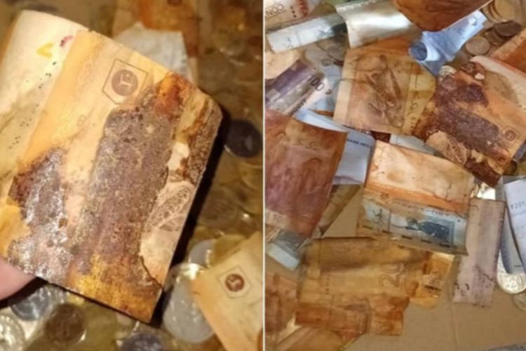 Wanita Ini Alami Nasib Apes Usai Menabung di Celengan DIY, Duit Senilai RM 1.000 Rusak 