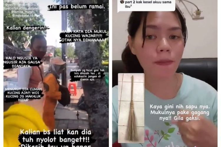 Viral Petugas Kebersihan Pukul Kucing Pakai Gagang Sapu, Netizen Ribut di Kolom Komentar