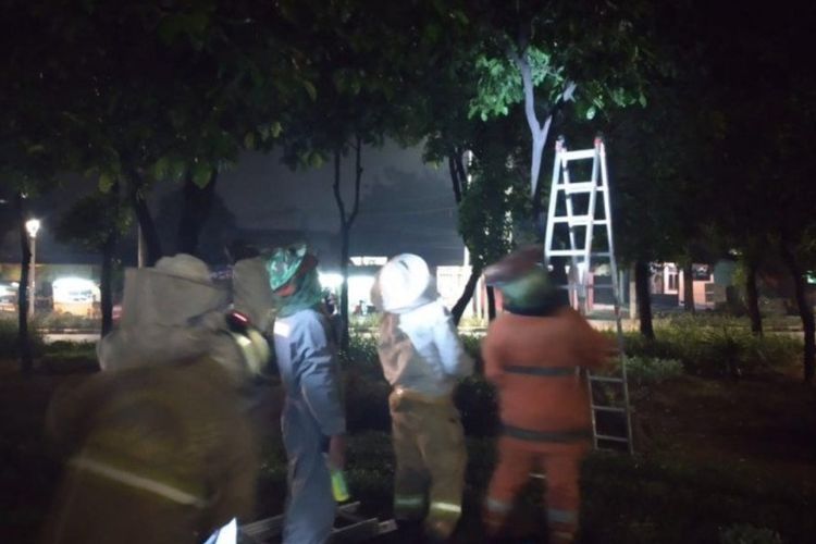 Dalam Sehari, Sarang Tawon di Tiga Lokasi Dievakuasi Damkar Jakarta Timur